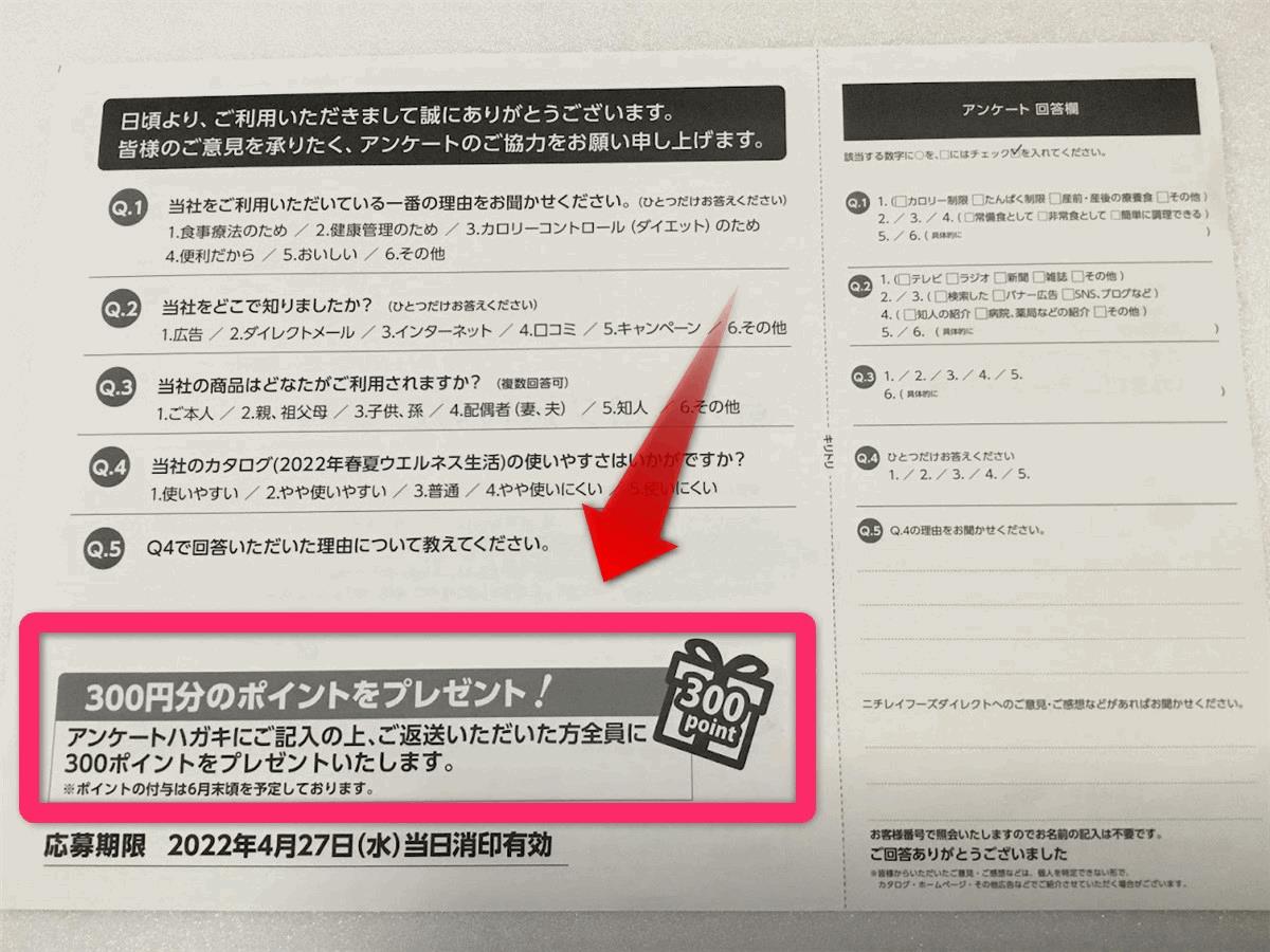 ニチレイフーズダイレクトのクーポン情報③アンケートに答えてポイントをゲットする！